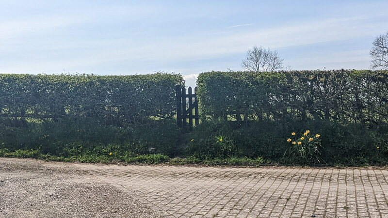 Gate in the hedge!