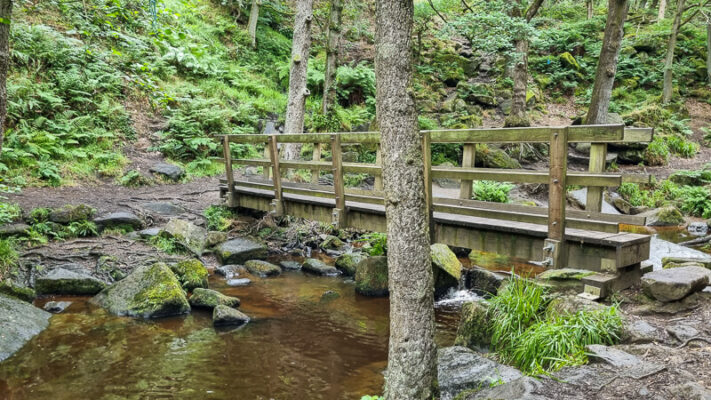 Wooden bridge
